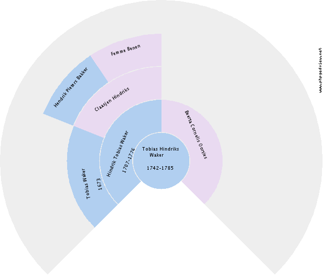 Hillechiena Johanna Lettinga Circle Diagram