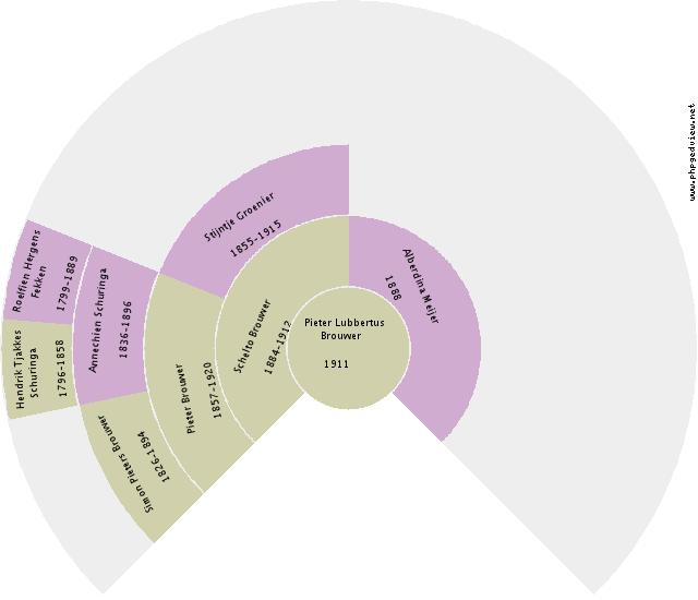 Hillechiena Johanna Lettinga Circle Diagram