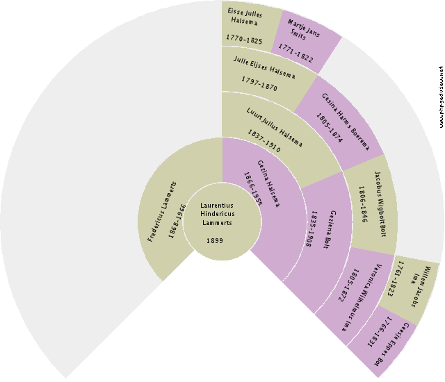 Violette Vivian Efting Circle Diagram