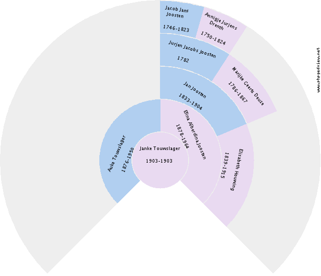 Emma Bot Circle Diagram