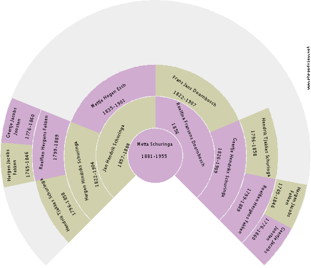 Nieziena Raven Circle Diagram