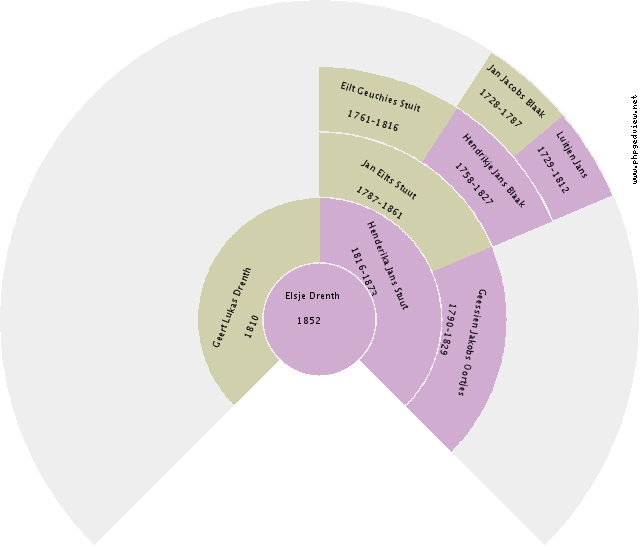 Marie Agnes Bieze Circle Diagram