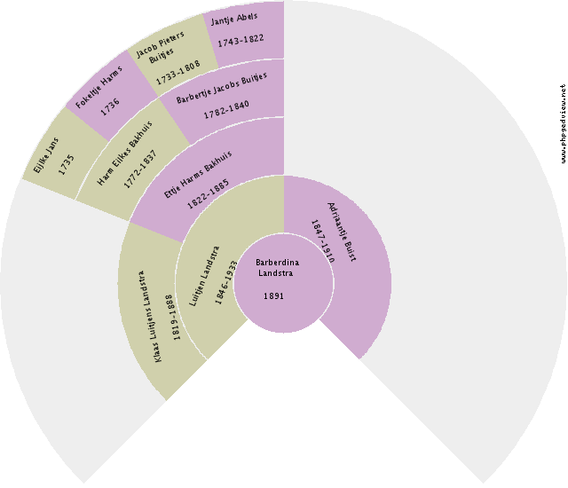 Rina T. M. Wijnenga Circle Diagram