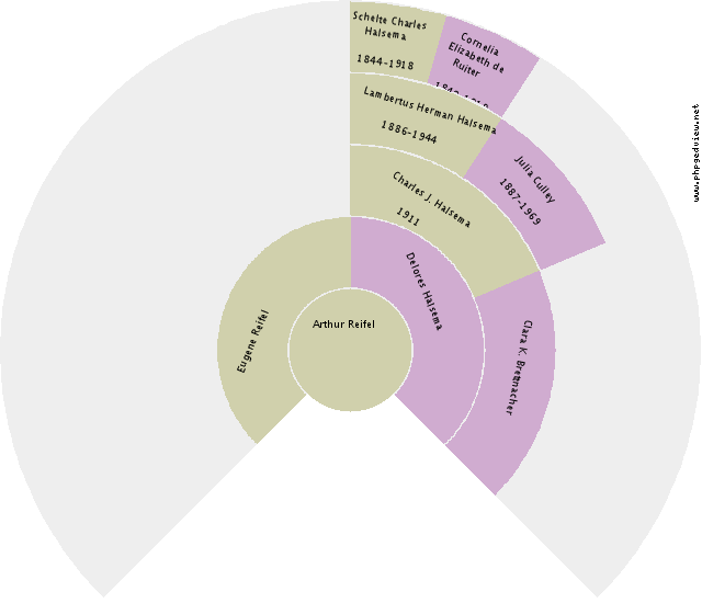 Ava Niezemuller Circle Diagram