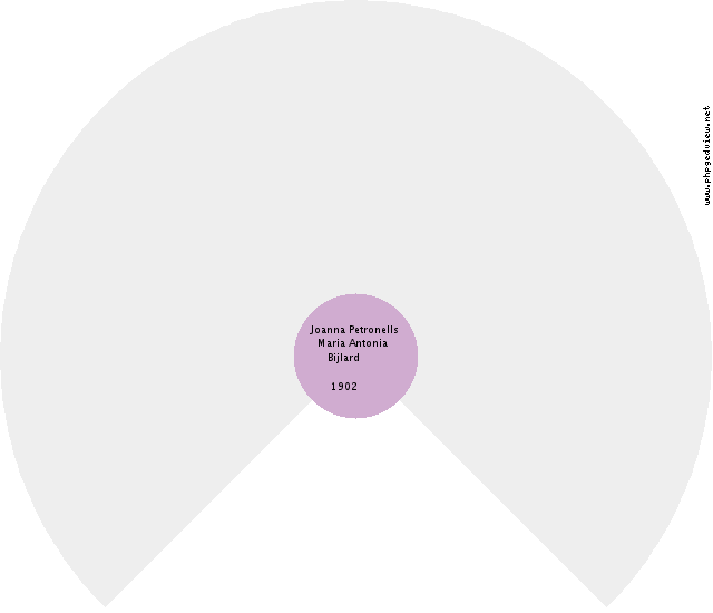 Pieter Adrianus van Steenis Circle Diagram