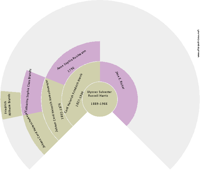 Trijntje Willems Circle Diagram