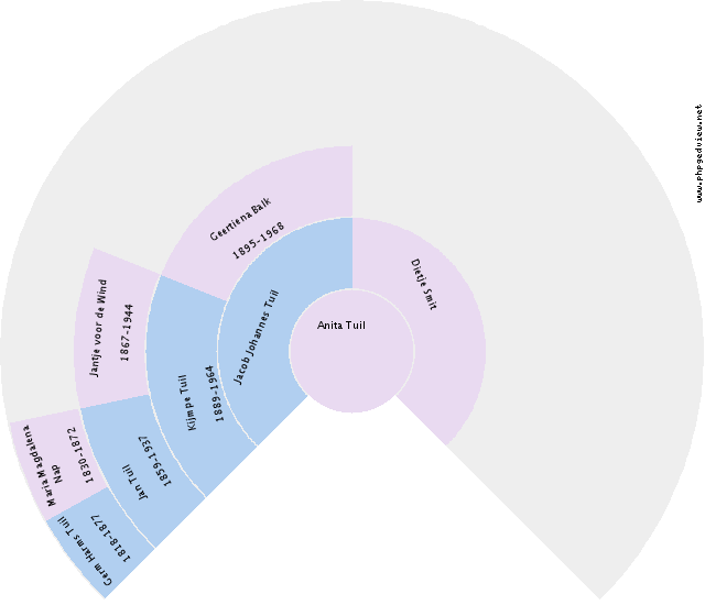 Michelle Patton Circle Diagram