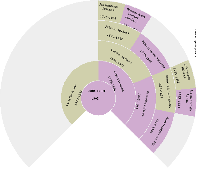 Hilbrandina Pater Circle Diagram