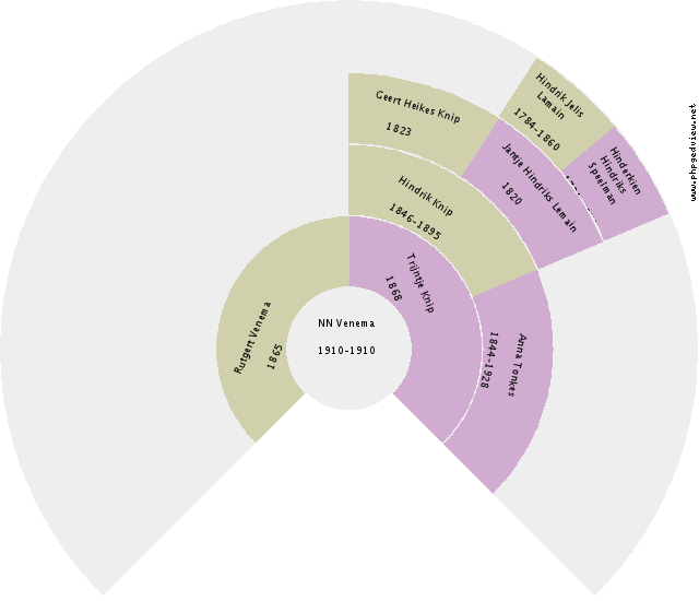 Maria Dorothea de Vries Circle Diagram
