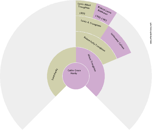 Bernadina M. Stok Circle Diagram