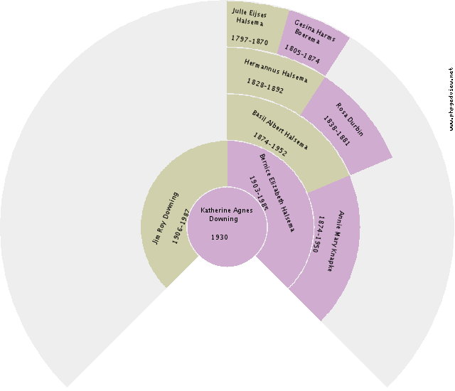 Adriaan Veenhoven Circle Diagram