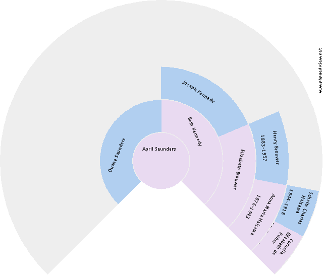 Lester Krijger Circle Diagram