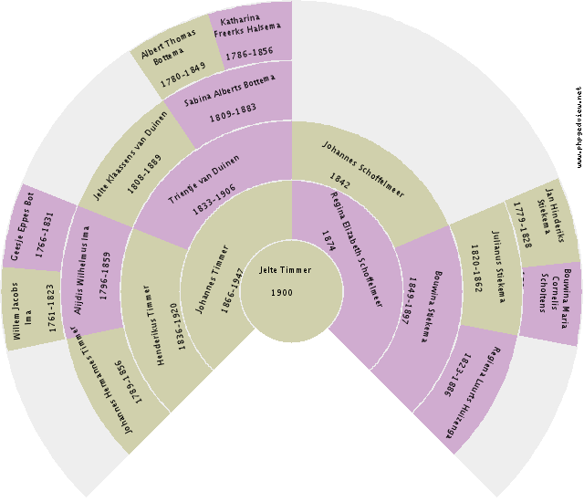 Johanna Scholing Circle Diagram