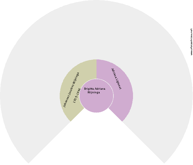 Sophia Eling Circle Diagram