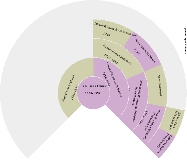 Anna Maria Petronella Abeling Circle Diagram