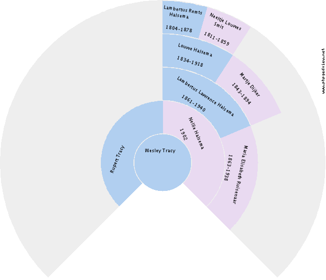 Annechien Naaijer Circle Diagram