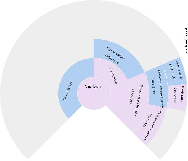 Martijntje van Zanten Circle Diagram