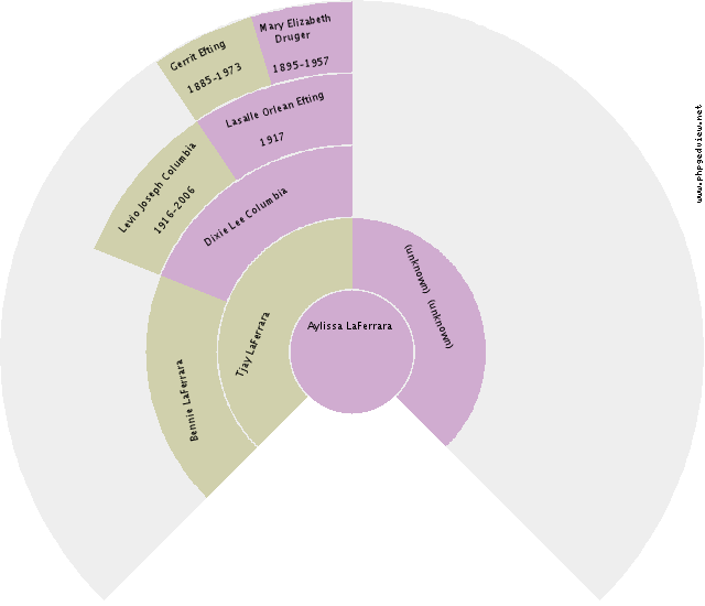 Jennie Dreyer Circle Diagram