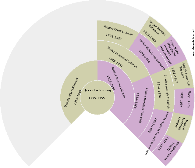 Elsien Veenma Circle Diagram