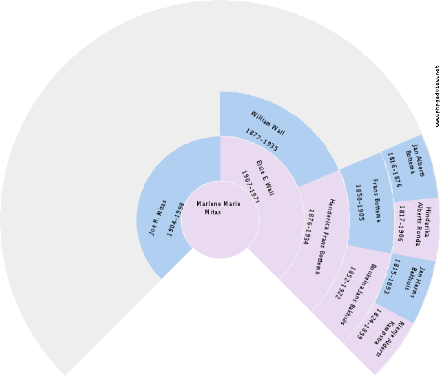 Evelyn Westbroek Circle Diagram