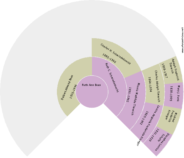 Aaltje Hendriks Circle Diagram