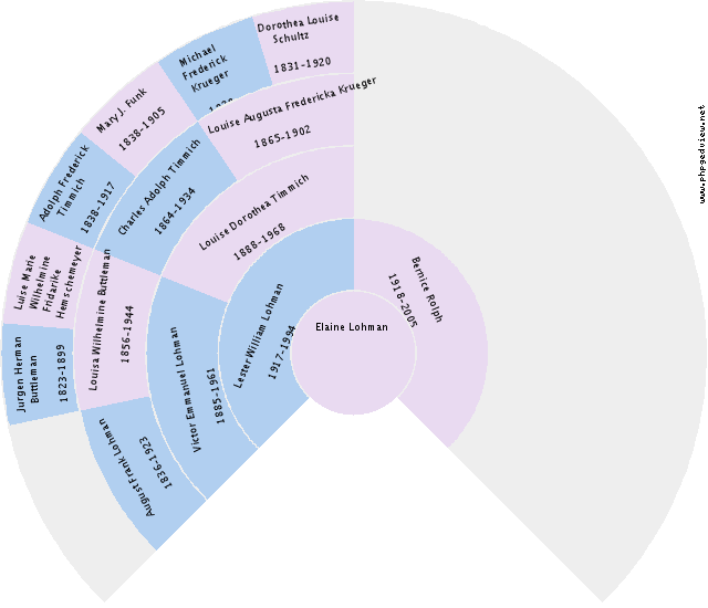 Michele Kay Brush Circle Diagram