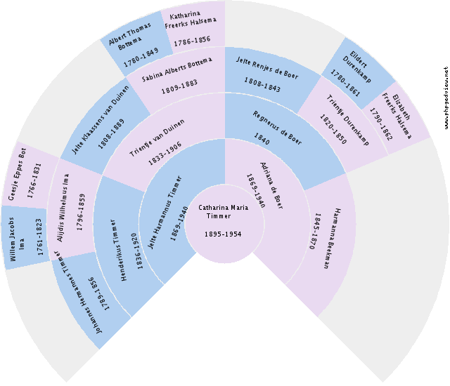 Anganeta Agatha Mug Circle Diagram