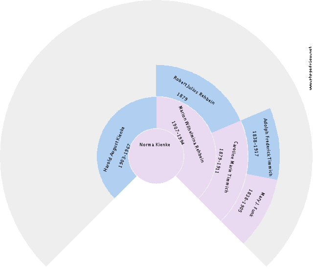 Zwaantje de Jonge Circle Diagram