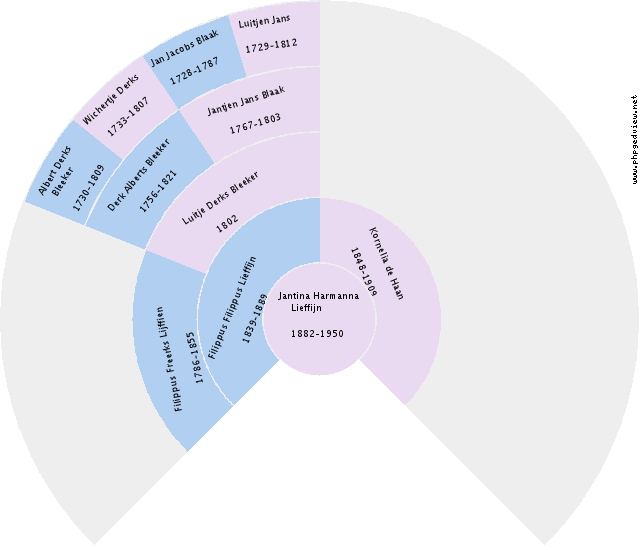 Anna Remmina van Dijken Circle Diagram