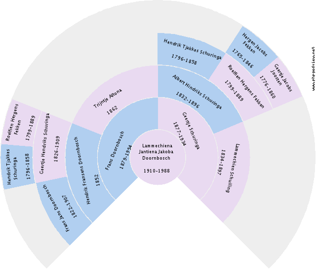 Markus Braam Circle Diagram