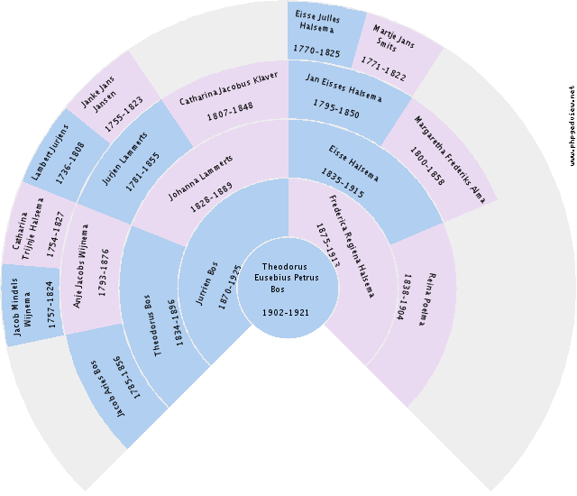 Pamela May Circle Diagram