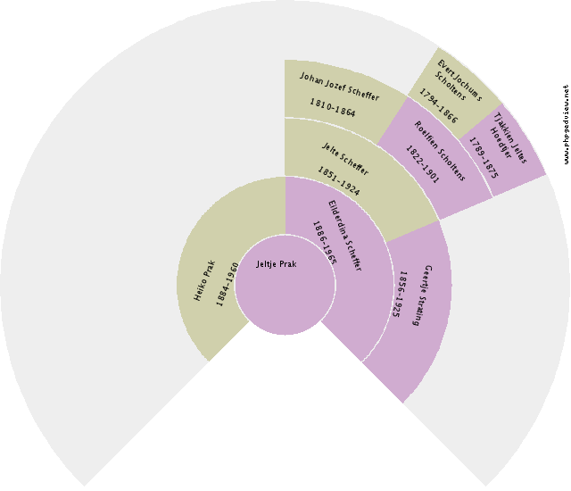 Margaret Ann Downing Circle Diagram