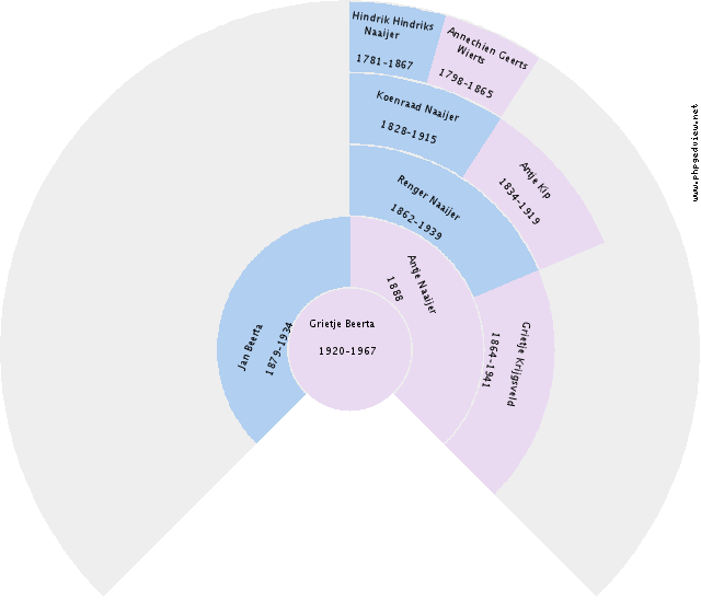 Camdyn Steek Circle Diagram