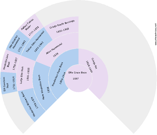 Theodora (unknown) Circle Diagram