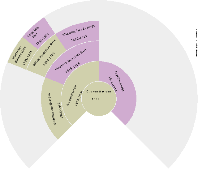Wijtze Politiek Circle Diagram