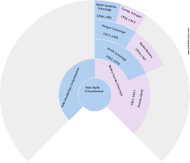Nancy Efting Circle Diagram