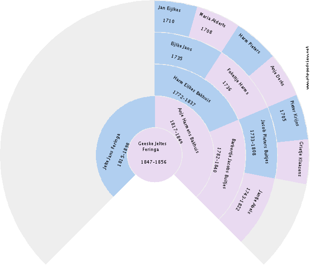 Iris Batta Circle Diagram