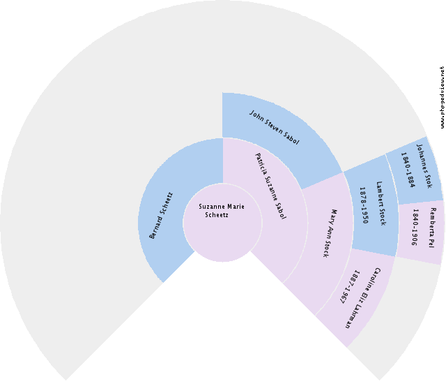 Suzanne Marie Scheetz Circle Diagram